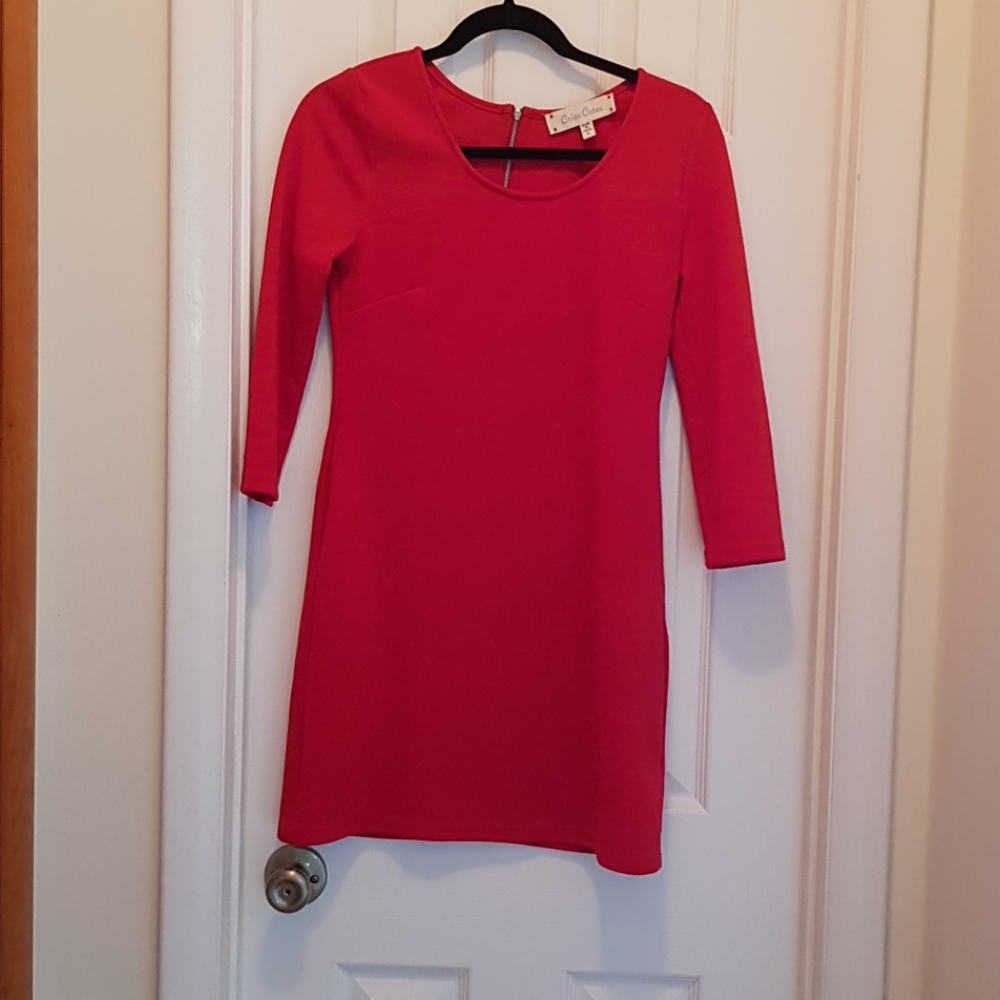 Francesca's Collections Long Sleeve Red Dress
